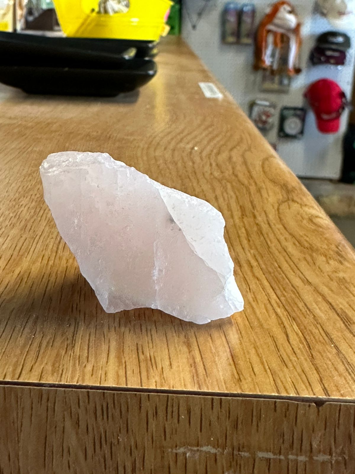 WhatsApp Image 2024-10-30 at 00.11.39_edb9a524